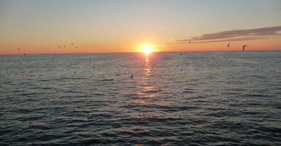 Hier sehen sie den Sonnenuntergang am Naples Pier. Strände Cape Coral.